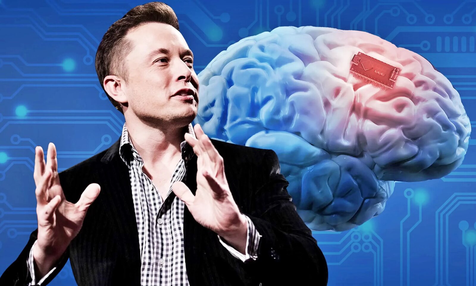 what is Elon Musk's IQ